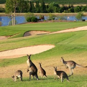 Cypress-Lakes-GOLF-CLUB