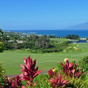 Kapalua-Plantation-Course