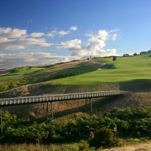 Kauri-Cliffs-Golf-Club